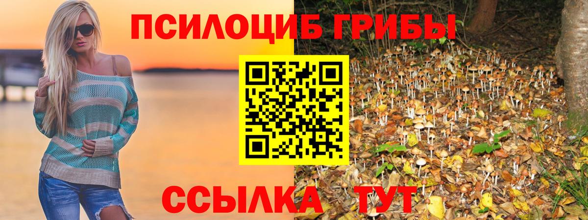 Псилоцибиновые грибы мухоморы  Псилоцибиновые грибы Cubensis  Санкт-Петербург  Вход с VPN 