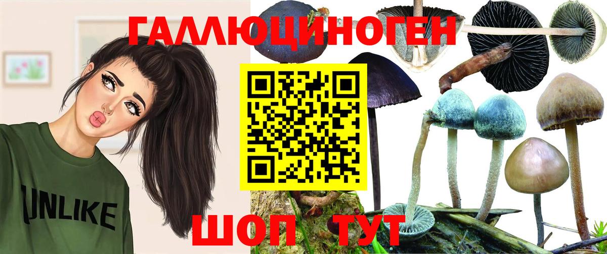 Галлюциногенные грибы ЛСД Санкт-Петербург